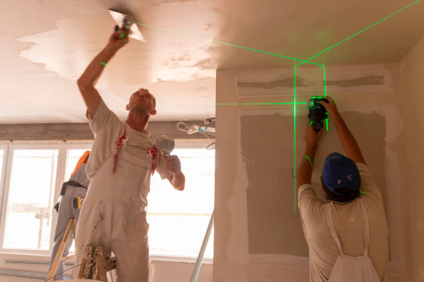 Best Mold Remediation for Healthcare Facilities  in Dellwood, MO