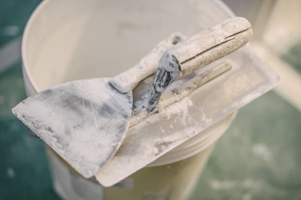 Best Basement Mold Removal  in Dellwood, MO